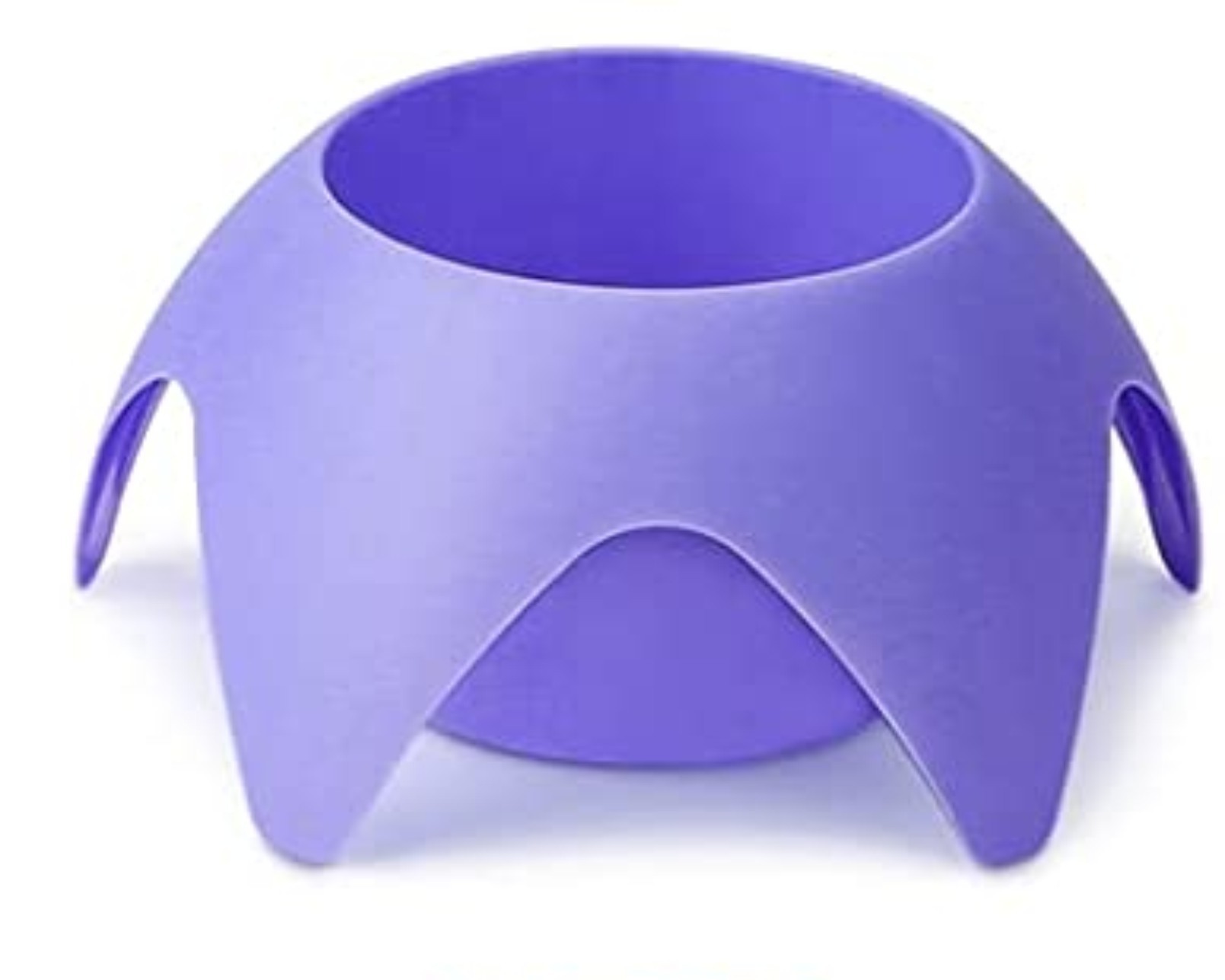 Púrpura