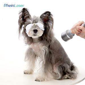 Özelleştirme 810nm 980nm fiziksel lazer terapi makinesi derin doku 10w-30w hayvanlar ağrı kesici için - Product Image 5