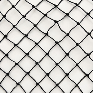 Fabrika Outlet 50mm Mesh geçirmez netleştirme tarım koruma anti-kuş ağı pirinç alan için - Product Image 5