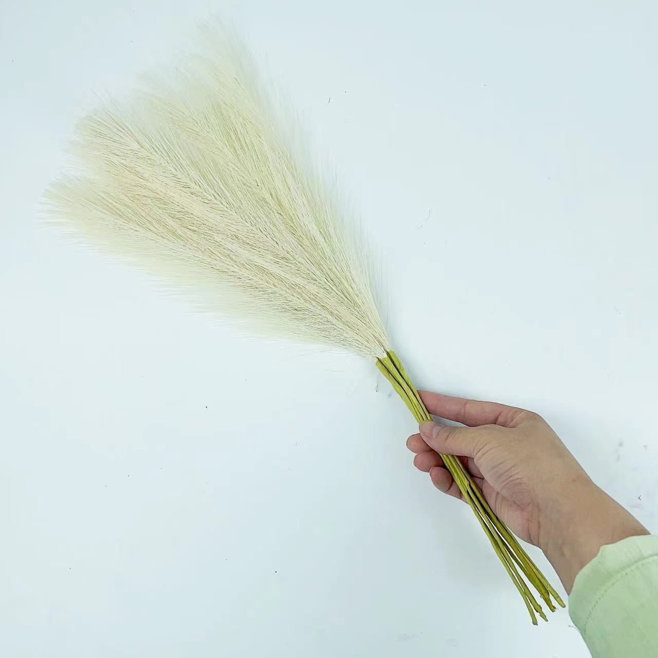 blanco crema