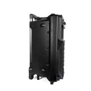 Altavoz inalámbrico portátil multifunción, sistema de sonido de plástico con control remoto, alta calidad, bajo precio, 12 pulgadas, nuevo diseño, 2021 - Product Image 6