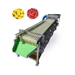 Macchina per la calibrazione della selezione della frutta di Avocado - Product Image 2
