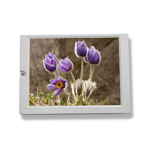 TX09D70VM1CCA 3.5 pollici 240*320 Tft Display Lcd Touch Screen Tft schermo Lcd modulo Tft pannello Lcd assemblaggio per schermo secondario - Product Image 1