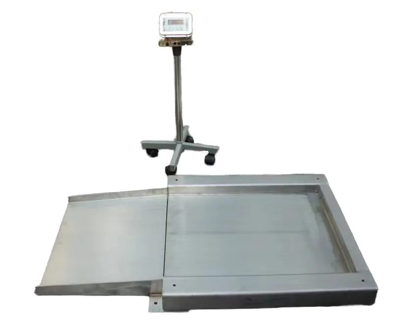 Wireless Industrial Stainless Steel Heavy Duty Floor Scale Big Platform Electronic Weighing Machine