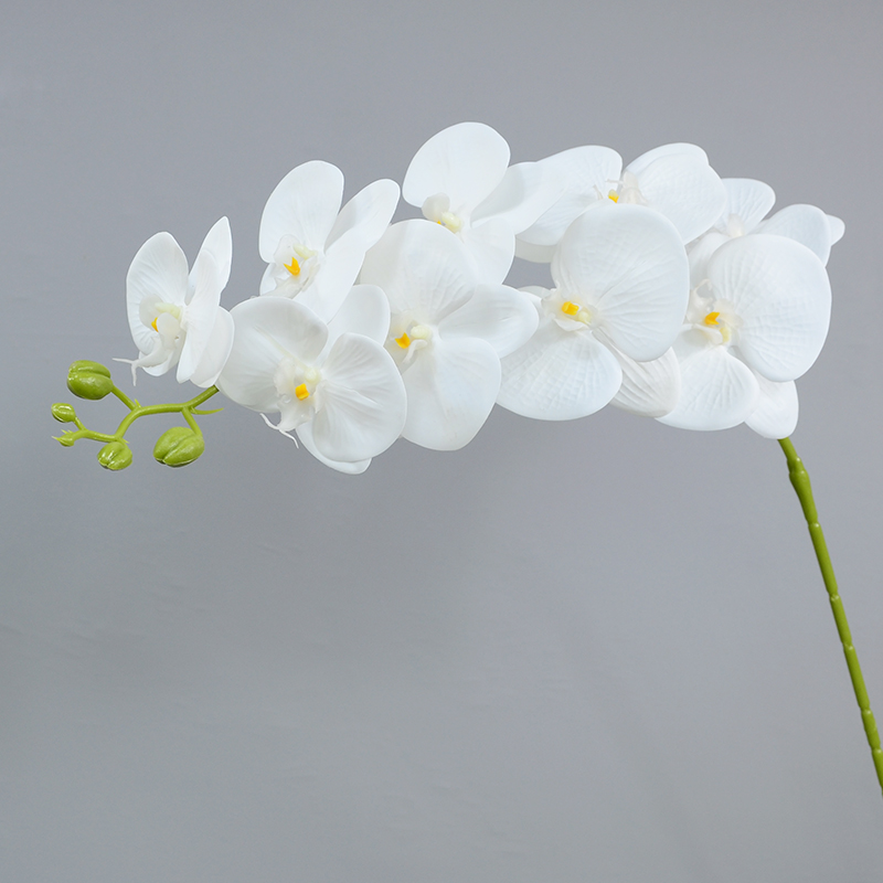 44 bianco