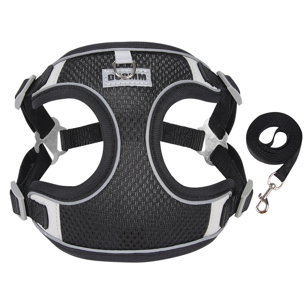 Maille noire