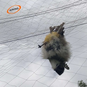 Landwirtschaft Anti Wind Vogel falle Netz Seide Anti Vogel Mesh Schutz netz Landwirtschaft netze