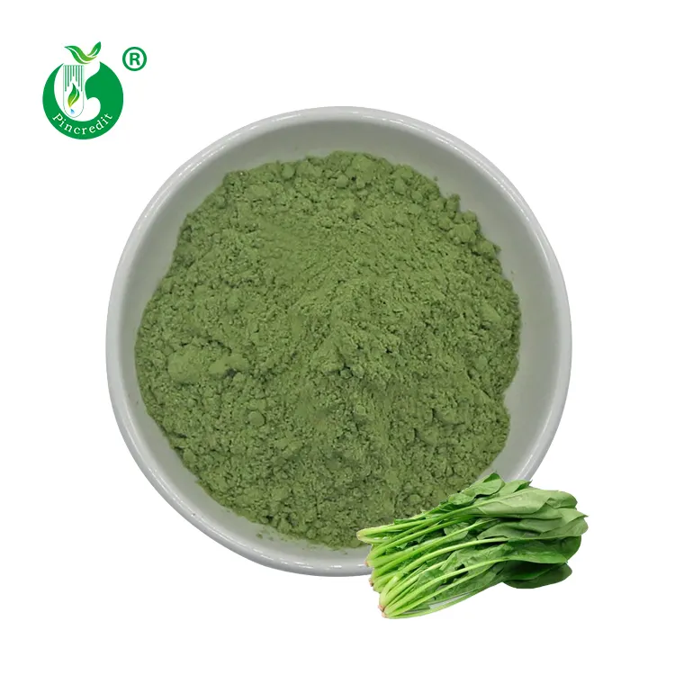 Bulk gefrier getrocknetes organisches grünes dehydriertes Spinat pulver