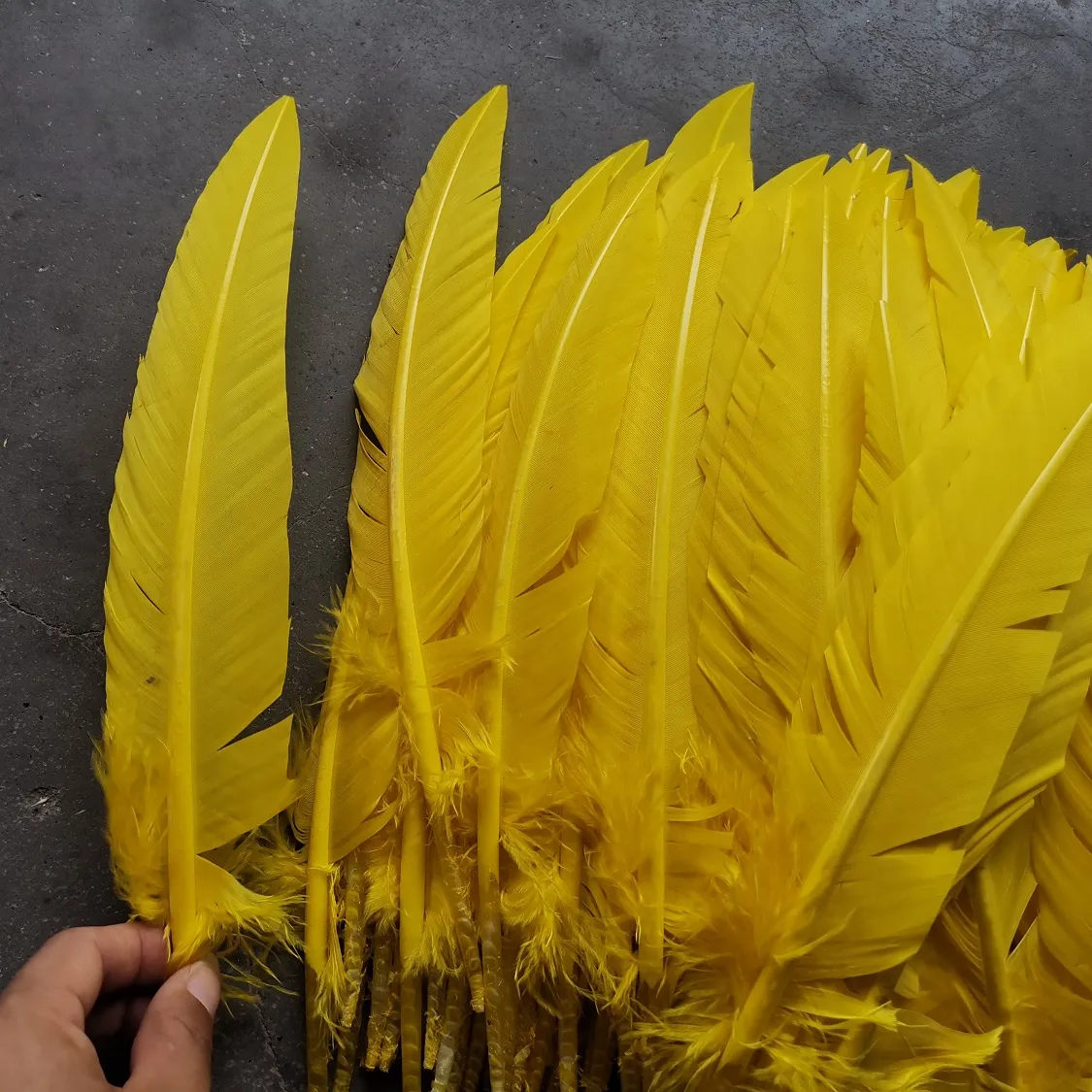 Washed Natural Bleached 25-30 cm Yellow Turkey Round Wing Quill Dyed Turkey Feather For DIY Craft Costume Headdress Angle Wing