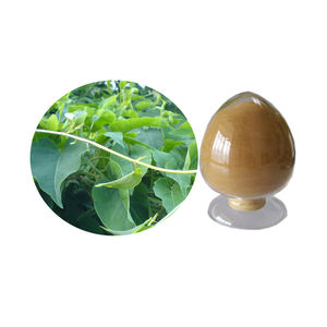 مستخلص نبات التوبير فليس فلوور 10:1، مسحوق مستخلص سيقان نبات التوبير فليس فلوور 20:1 - Product Image 1