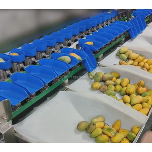 Máquina clasificadora de peso rotativa automática Máquina clasificadora de frutas Máquina clasificadora de mango