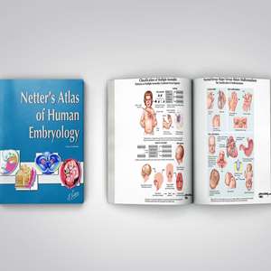 नेटर का मानव भ्रूण विज्ञान चिकित्सा पाठ्यपुस्तक मुद्रण छोटे मोक सीविंग बाध्यकारी - Product Image 4