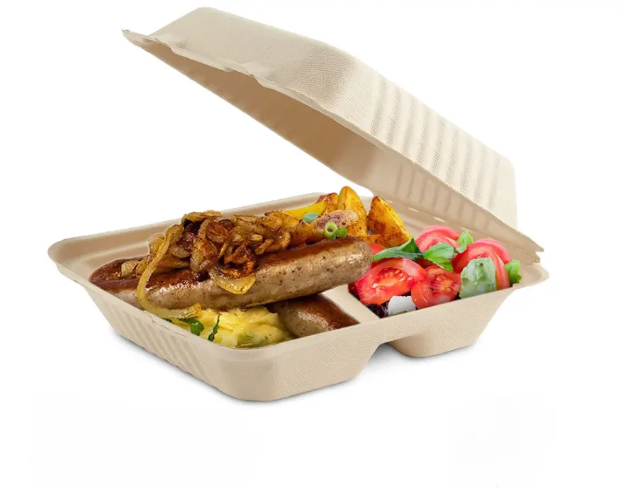 Umwelt freundliche kompost ierbare biologisch abbaubare Lunchboxen zum Mitnehmen 7 ''x 5'' Einweg-Lebensmittel behälter zum Mitnehmen