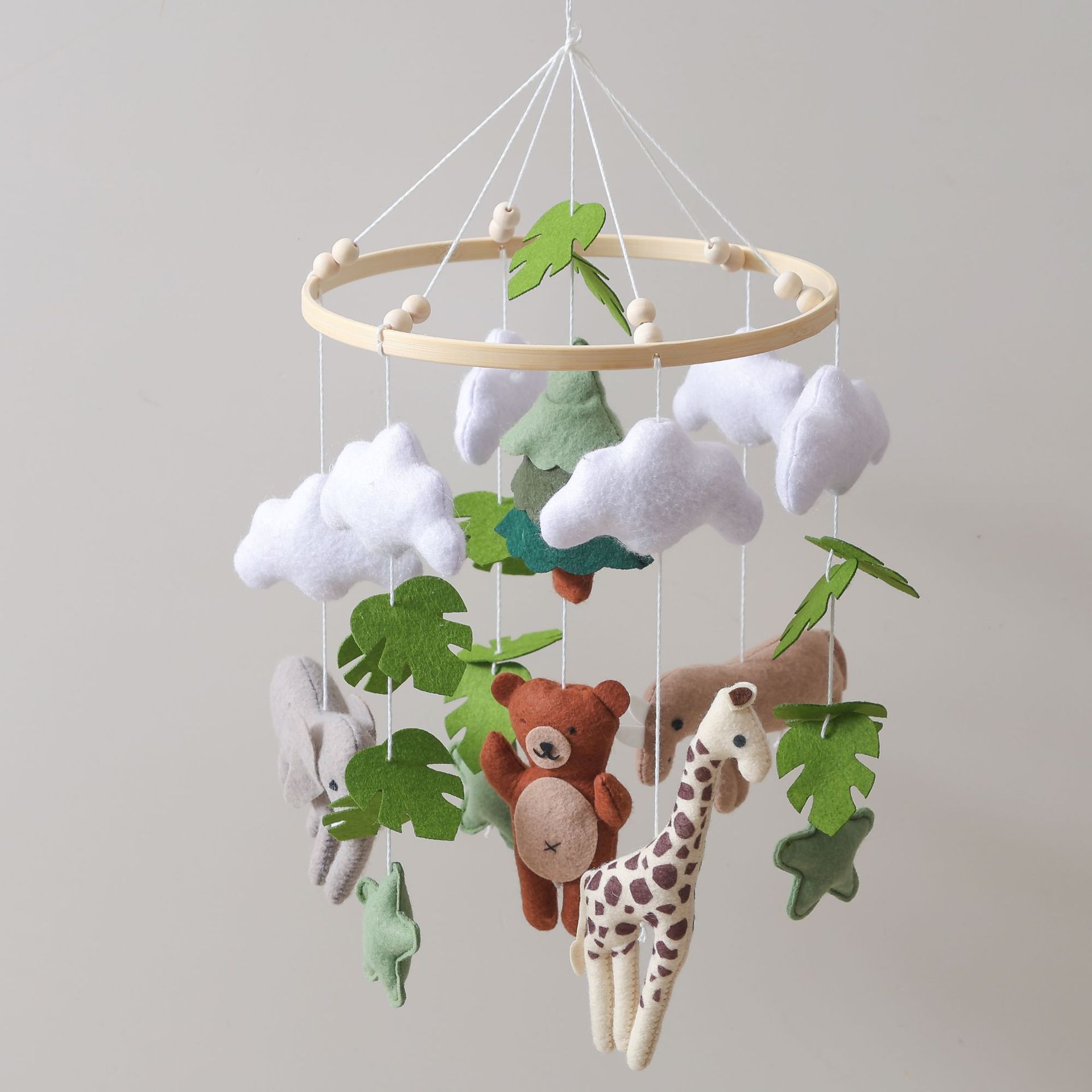 Forest animal bear