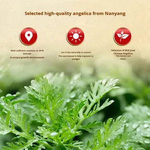 Obat Alami untuk Nyeri Otot Plester Herbal Pereda Nyeri Sendi Mugwort Plester Leher dan Tulang Belakang Bawah Bahu dan Leher - Product Image 2