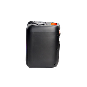 מכירה מהירה סאונד בחדות גבוהה Microlab PT601W רמקול קריוקי אופנתי רמקול כחול שן רמקול TWS