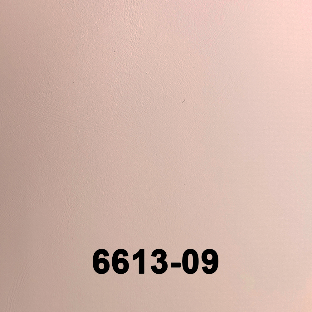 6613-9