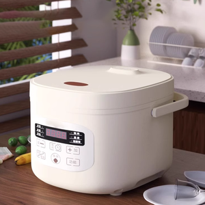 4 tazze di riso crudo 2L programmabile digitale 6 funzioni Mini pentola di riso a basso contenuto di zucchero con cottura One-Touch Timer 24 ore - Product Image 1