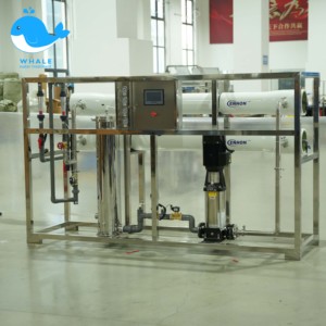 4000LPH反渗透海水淡化厂，带泵可编程控制器齿轮箱220伏塑料水处理净化储水1年保修