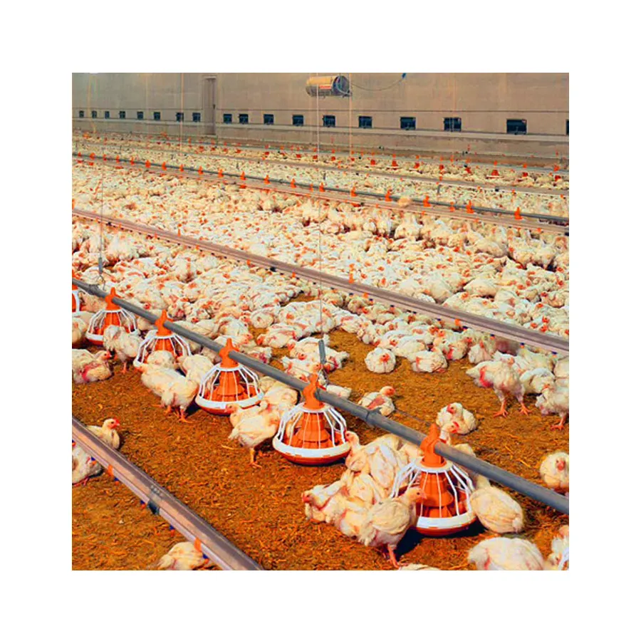 Equipo de alimentación de suelo para granja de pollos, comedero de plástico para pollos