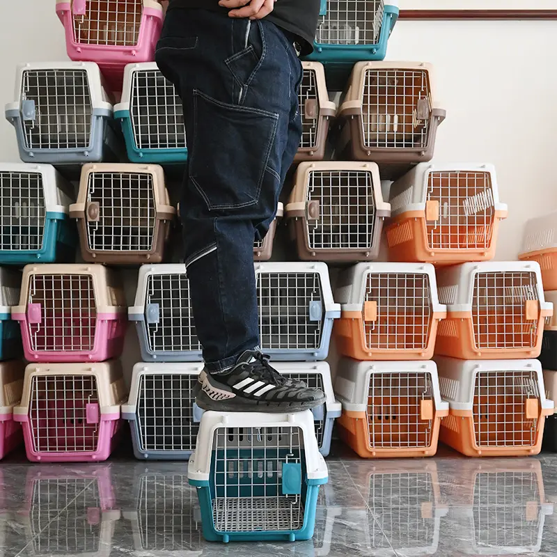 Taşınabilir sert sepet plastik sturdi premium en özel köpek kedi seyahat ürünleri pet taşıyıcılar