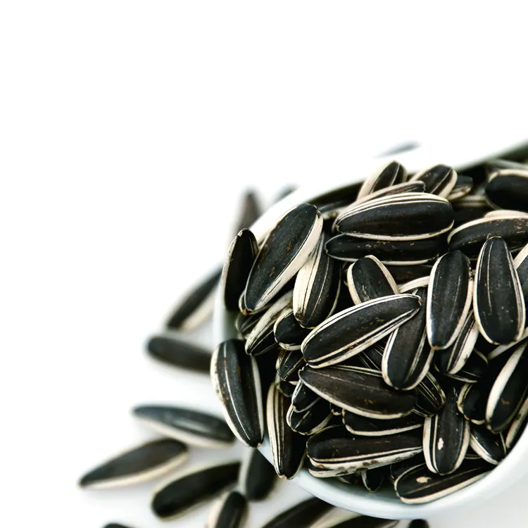 Hot Sale High Quality Big Striped Sunflower Seed With Black Color Whole Sale Ton Price