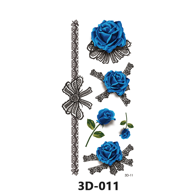 3D-011