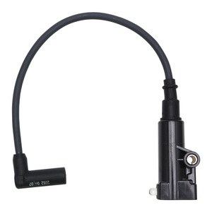 高性能オートバイEFI高電圧点火コイルDelphiシステム用-改造 & 交換部品 - Product Image 1
