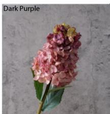 Morado oscuro
