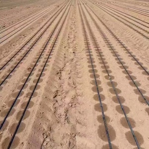 设计0.5Ha 1 Ha 2Ha农业滴灌自动农场滴灌系统 - Product Image 5