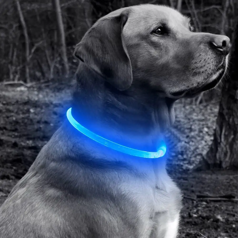 고품질 싼 가격 번쩍이는 led usb 재충전용 개 목걸이, 조정가능한 빛을내는 빛난 애완 동물 고리 led 빛