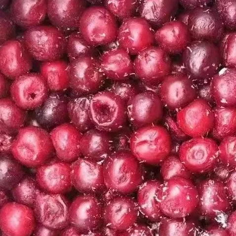Frutta di ciliegia acida congelata IQF fresca all'ingrosso