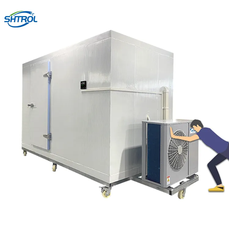 10ft Mini facile operare Cold Room fornitore di vendita contenitore commerciale compressore di refrigerazione unità Freezer magazzino per la carne