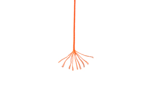 Línea de construcción de nylon trenzado Mason Twine - Product Image 4