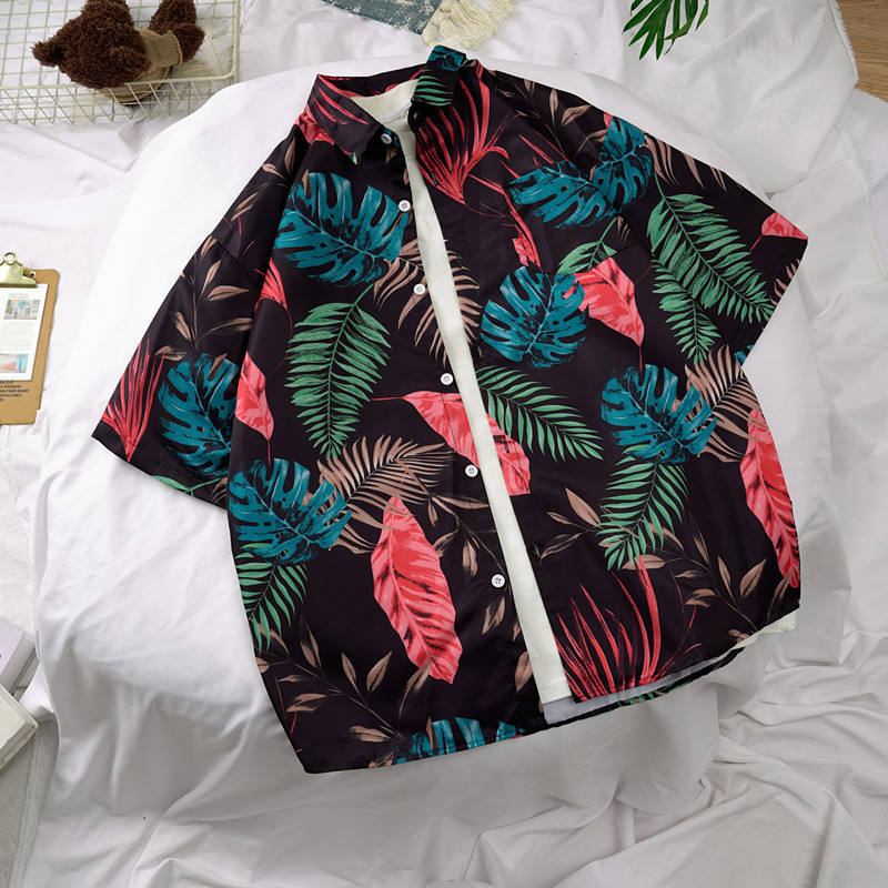 เขตร้อนหลากสี