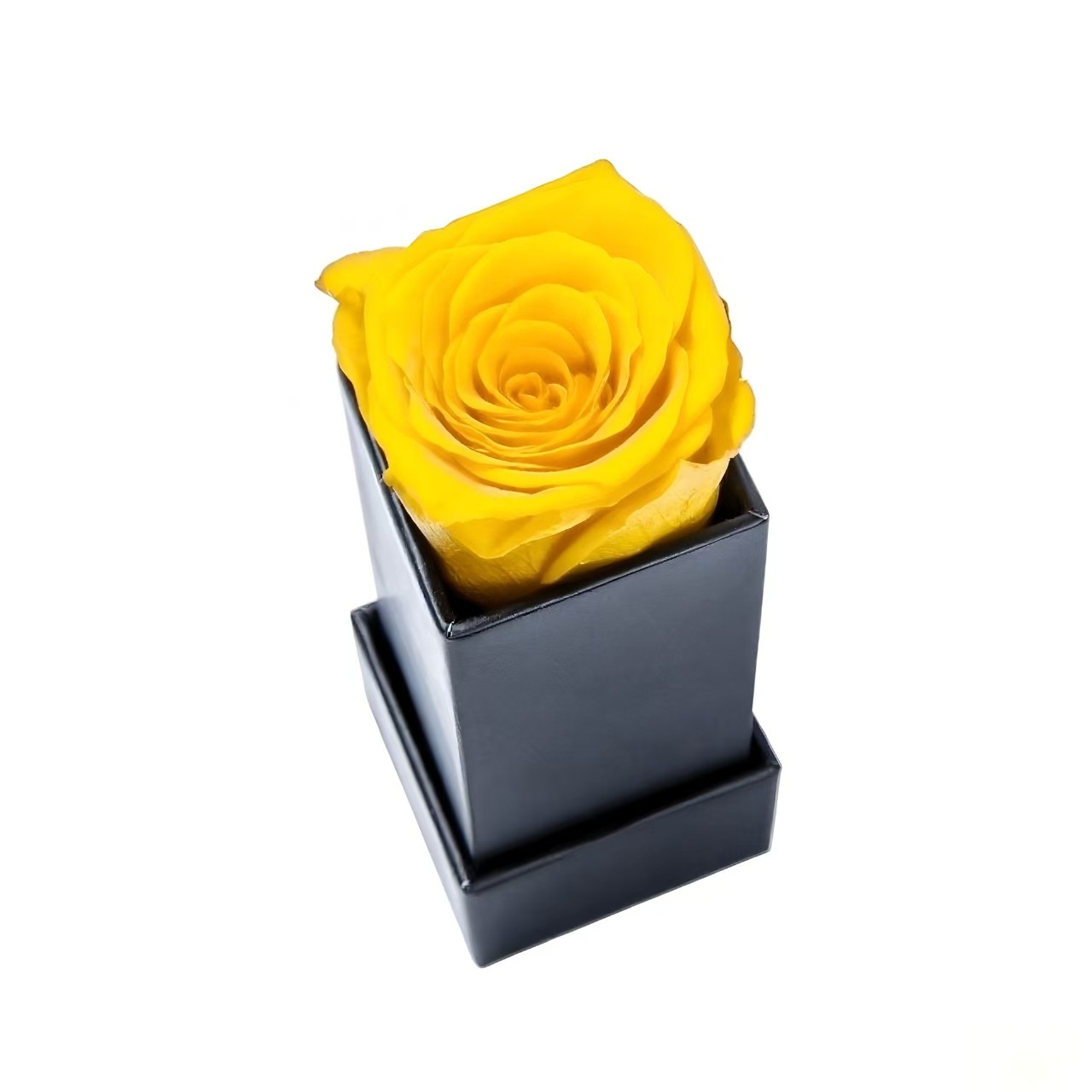 Amarillo-1 Rsoe