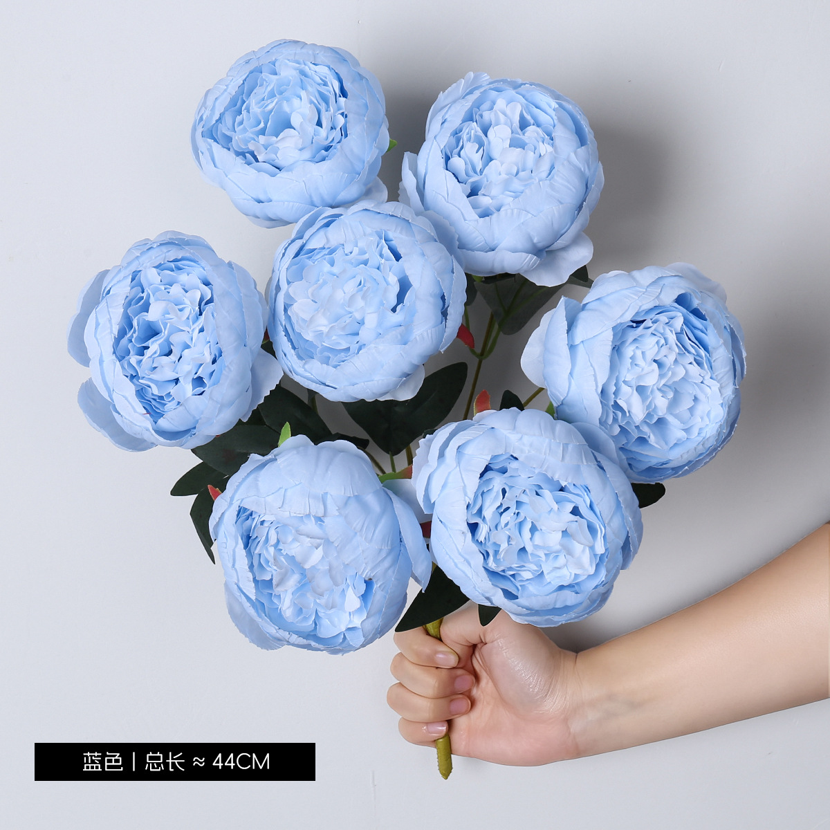 ดอกโบตั๋น 7 ดอก-สีฟ้า