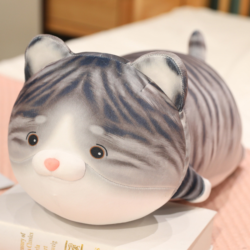 Reclining tabby cat