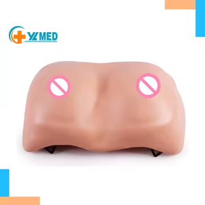 Medical Teaching Manikin Female <strong>Palpation</strong> Wearable Breast Examination Model for Training Comparative Observation Skeleton Model - Product Image 1