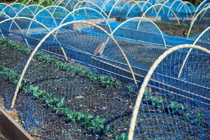 Kunden spezifischer Weinberg Anti Bird Netting Balkon Protect Net Kunststoff abdeckung Net Agricultural Bird Netting - Product Image 3