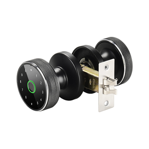 Biyometrik parmak izi dijital anahtarsız Tuya Wifi kapısı akıllı sürgü kapı kilidi şifre ile - Product Image 1