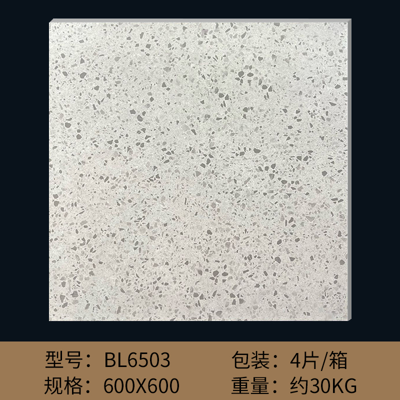 600*600 - bl6503