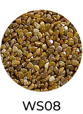 WS08
