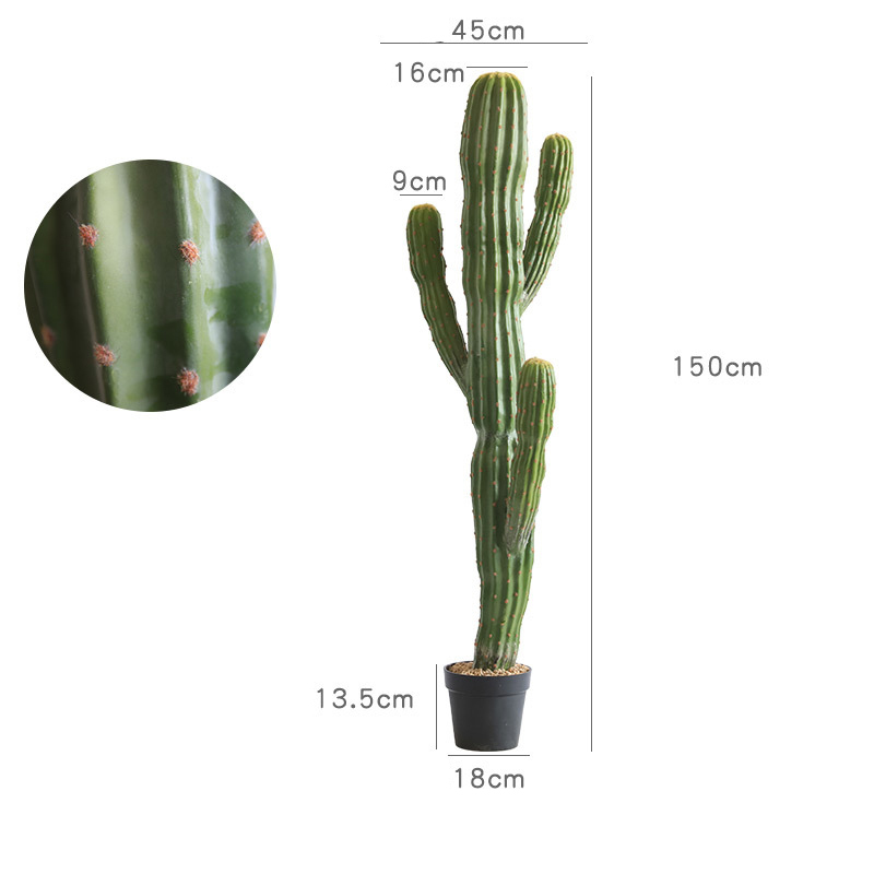 150cm