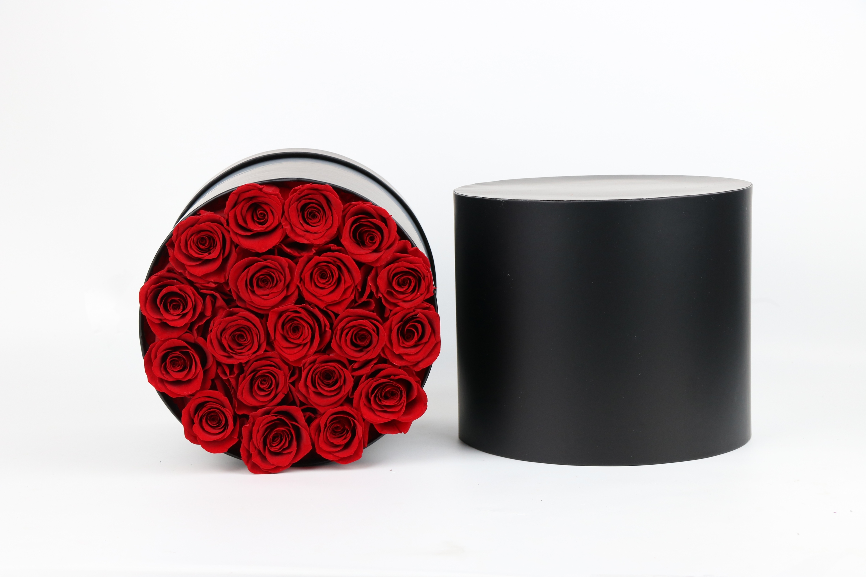 19 Roses