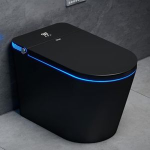 黑色智能马桶坐浴盆智能带遥控一体式卫生纸智能马桶