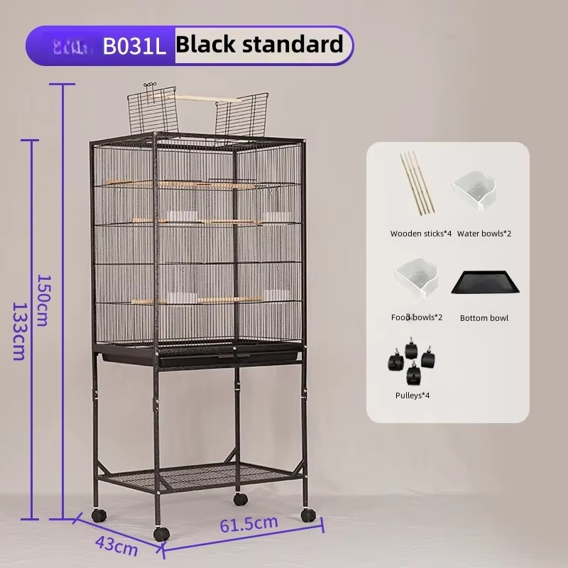 B031l-edizione standard nera