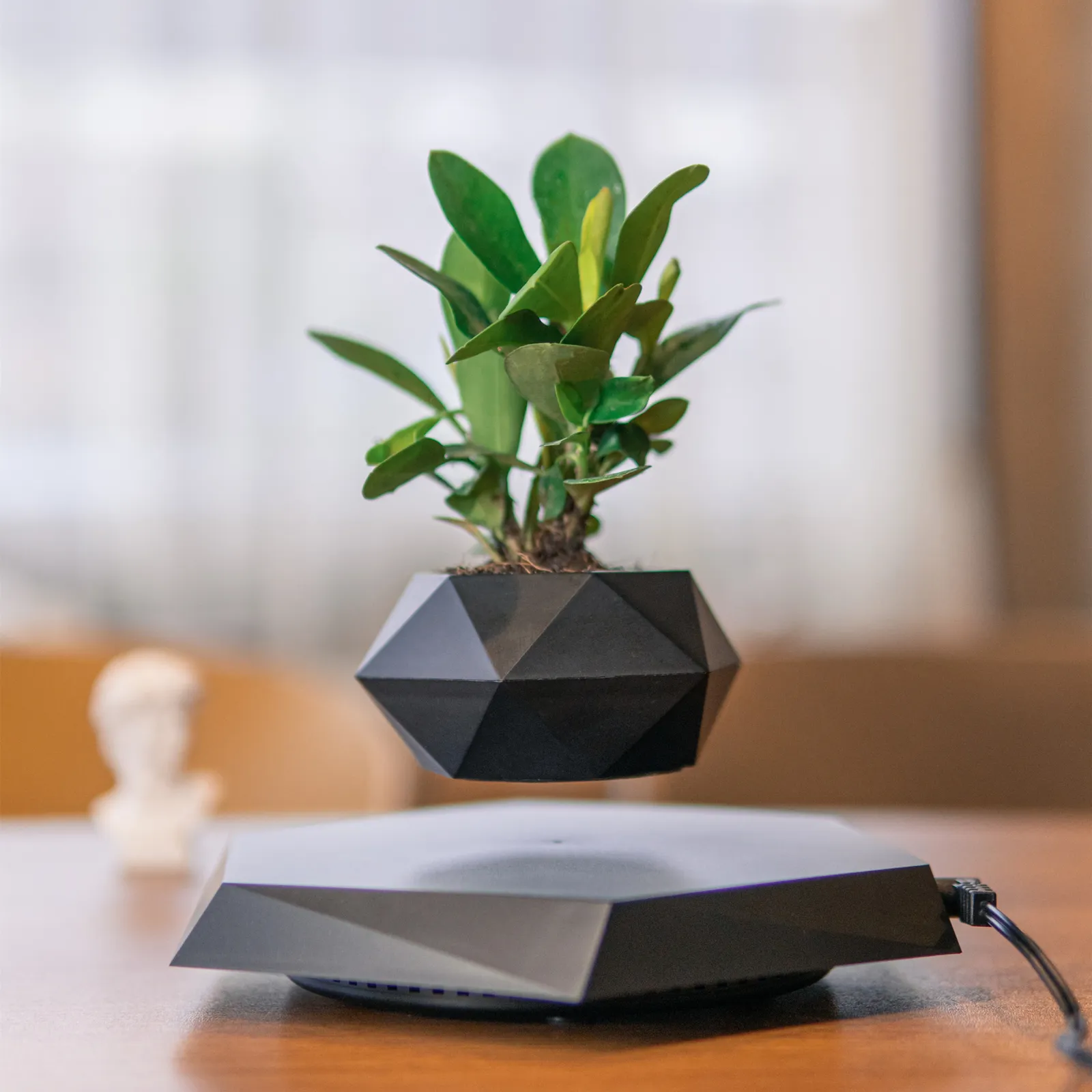 Design de madeira Magnetic Levitating Plant Pot Moda Flutuante Preto Estilo Bonsai Decoração Casa Presente Personalizado