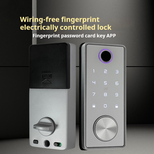 TUYA akıllı sürgülü kilit için Bluetooth WiFi/IP ağ uyumlu anahtarsız giriş için ahşap çelik cam alüminyum güvenli kilit - Product Image 5
