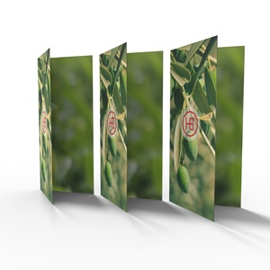 定制传单海报制作订购页面折叠页面书籍菜单印刷 - Product Image 5